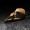 Quail Skull in bronze