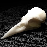 Crow skull, marble