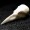Crow skull, marble