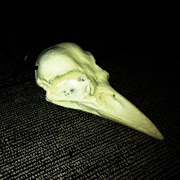 Crow skull pendant, glow in the dark