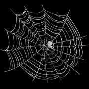 Babydoll tee with silver spider web design