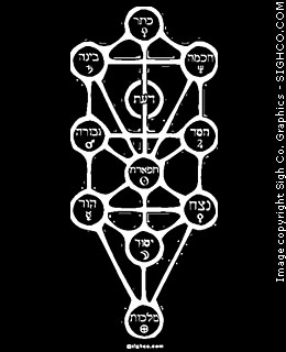 Tree of Life hoody