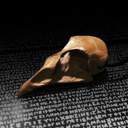 Quail Skull, bronze