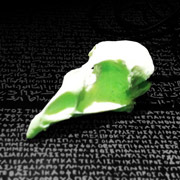 Quail Skull, glow in the dark
